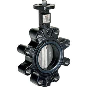 Belimo Butterfly Valve 304 s/s disc